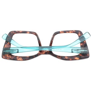 Plastic Reading Glasses